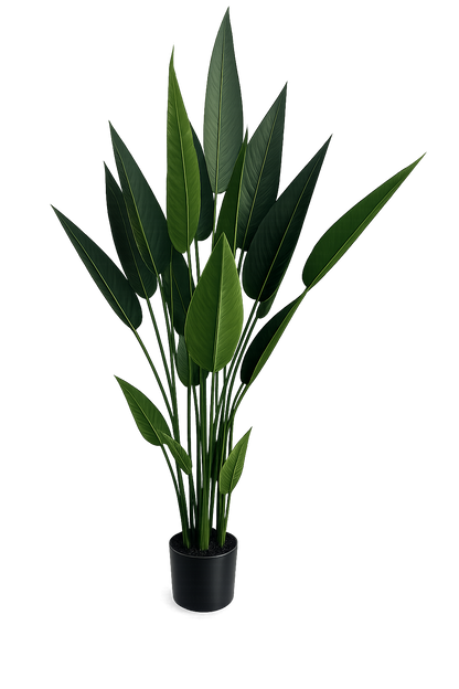 ENUTROF Artificial Bird of Paradise – 160cm Tall Fake Strelitzia Plant for Home & Commercial Decor ENUTROF