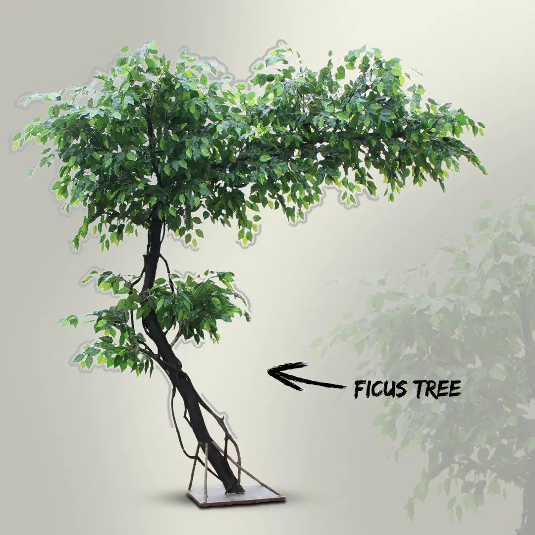 Tall Artificial Ficus Tree – 250 CM | Indoor Greenery Enutrof Decor