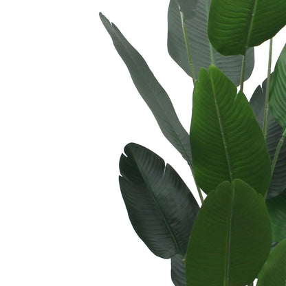 Artificial Banana Tree – 200 CM | Tropical Indoor Greenery Enutrof Decor