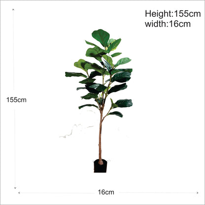 ENUTROF Artificial Fiddle Leaf Fig Ficus Lyrata – 155cm Premium Fake Plant for Designer Home Decor ENUTROF