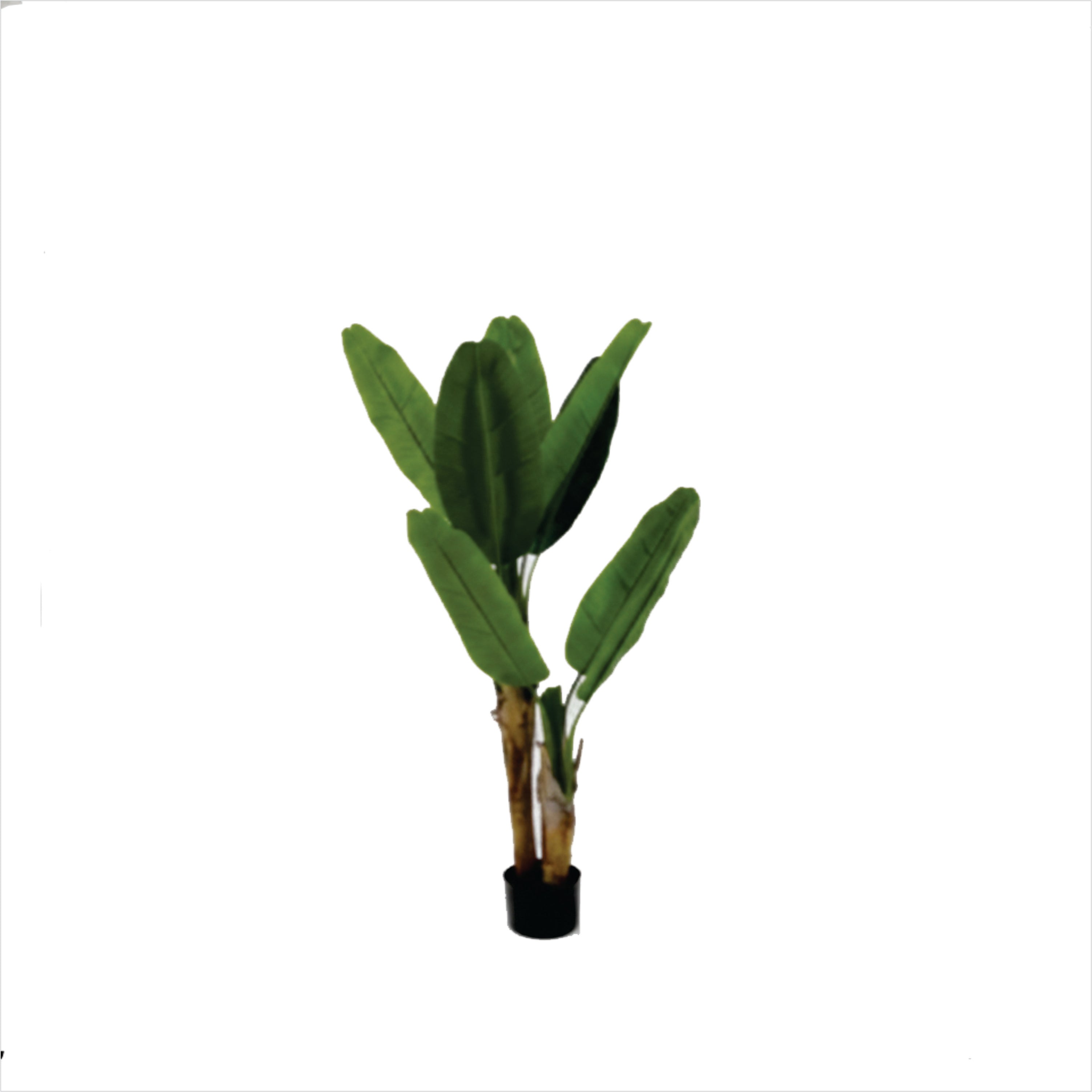 ENUTROF Artificial Banana Plant Musa – 130cm Fake Tropical Plant for Home & Office Decor ENUTROF