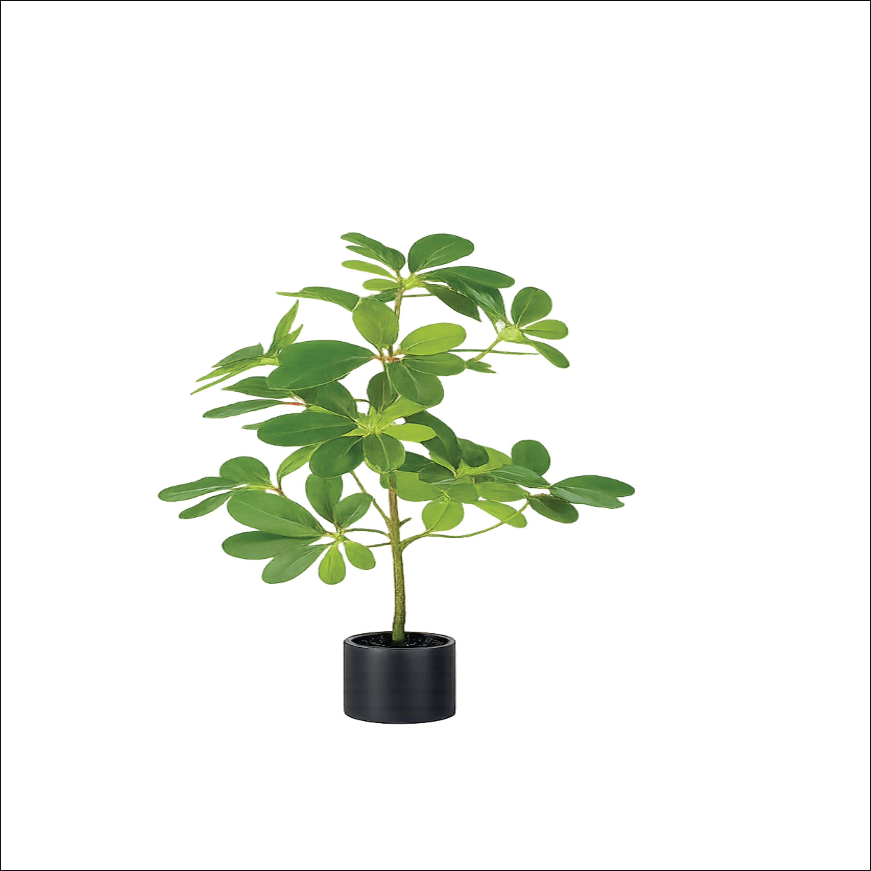 ENUTROF Artificial Small Plant 50cm – Realistic Fake Potted Plant for Desk Home Decor ENUTROF