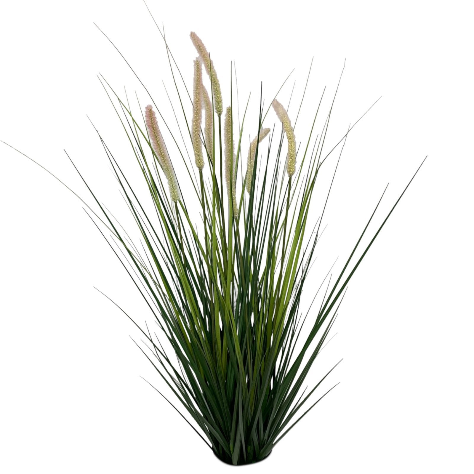 Onion grass with reeds