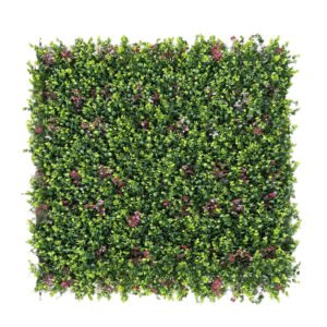 Wall grass