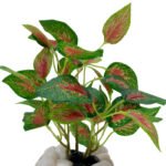Aglaonema Plant Artificial plant
