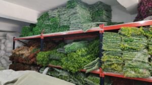 The Art of Artificial Vertical Gardens: Embracing Nature Indoors