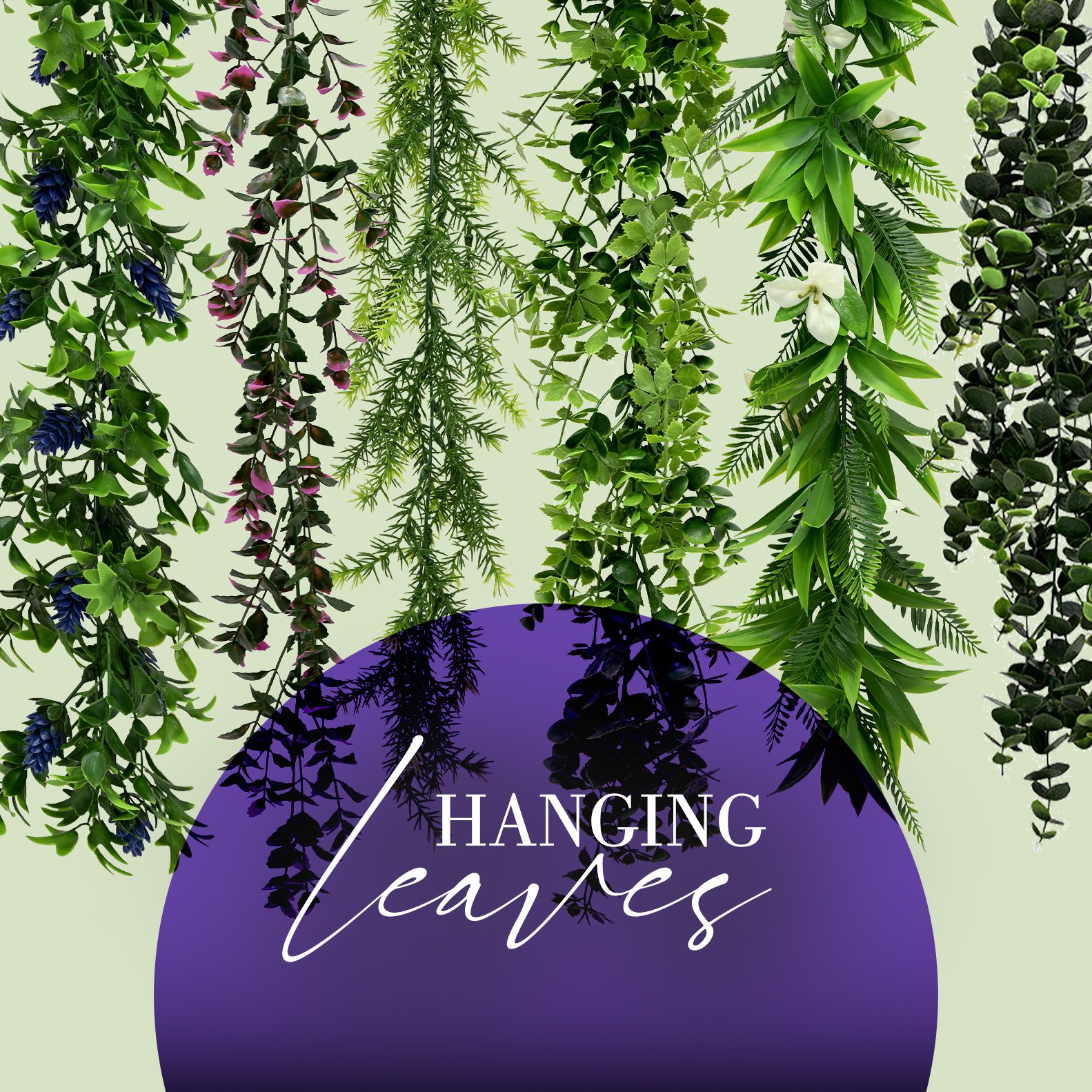 Hanging leaves