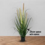 onion grass with dual tone reeds