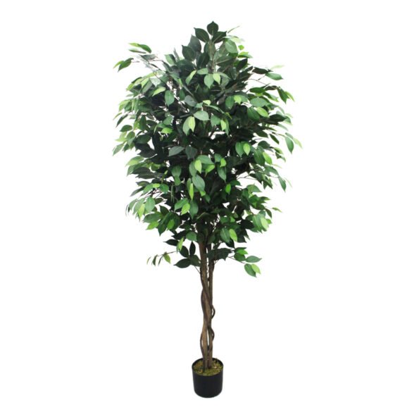 Artificial ficus tree