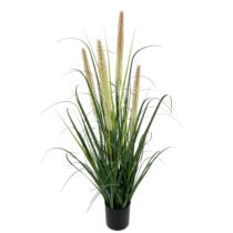 onion grass with dual tone reeds