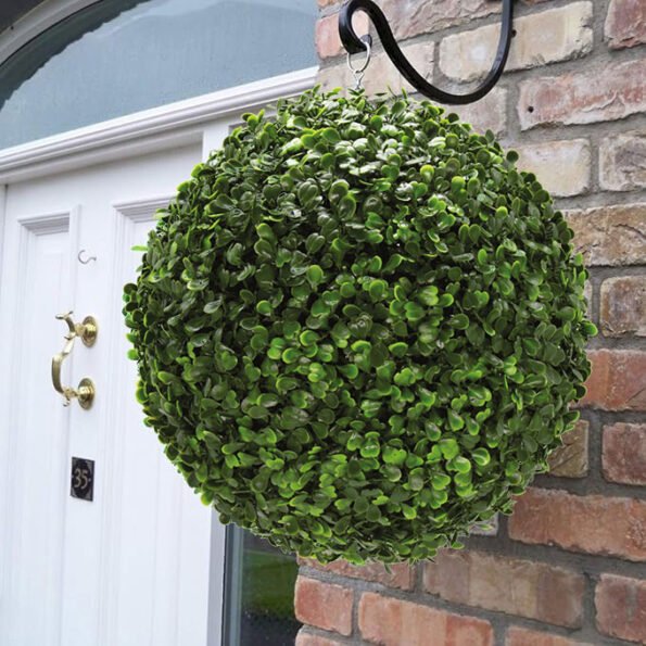 Boxwood