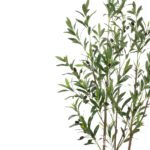 Artificial olive plants